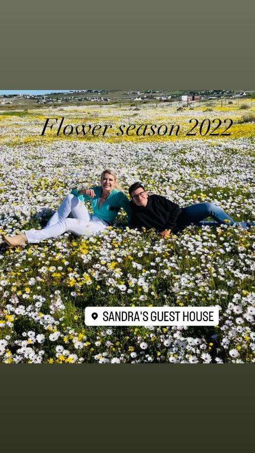Sandra'S Guest House ランゲバーン エクステリア 写真